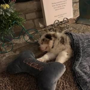 Meet your Posher, Mandy